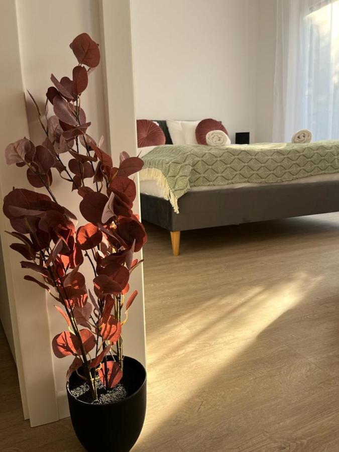 Mathias Premium Apartments Szeged Extérieur photo